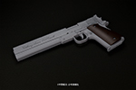 gun